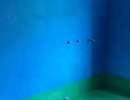 省直辖县卫生间测漏水多少钱